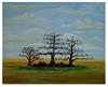 Best Paintings in Austin Tx