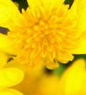 Austin Web Design